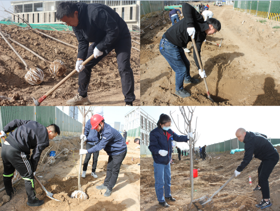 賽特公司開展“栽種新希望，奮進新征程”植樹節(jié)主題活動